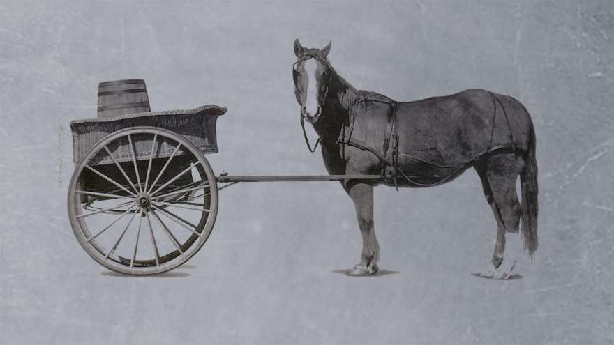 21609-cart-horse.jpg